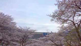 �ߤɤ�Ա�ư����