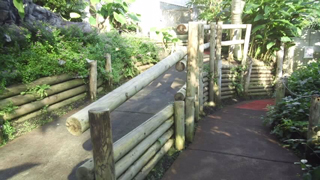 ����դ줢������