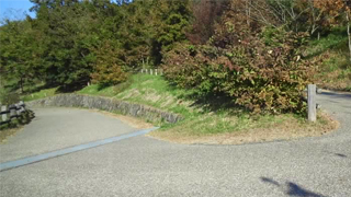 ����޺���ο� ��