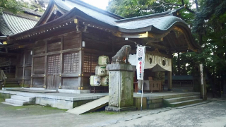 ��Φ�����ҵ� ����