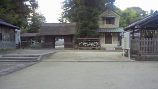 ��Φ�����ҵ� ����