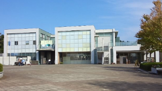 ��븩ƫ�����Ѵ� ����