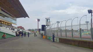 �����ꥪ���ȥ졼���� �Х󥯱褤