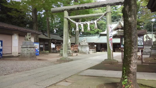 �������� ����