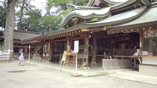 �������� ����