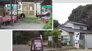 ������㲰