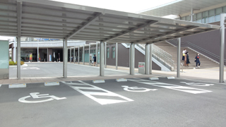 ��Į��ư�����ΰ�� ��־�