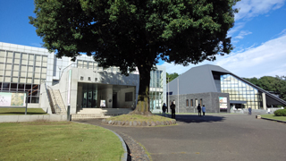 ���ϸ�Ω�������Ѵێ����ϸ�Ω�����ʪ��