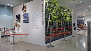 ����ʸ�����󥿡�Ÿ����