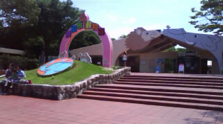 �;���ưʪ�� ����