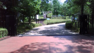 �;���ưʪ�� ����