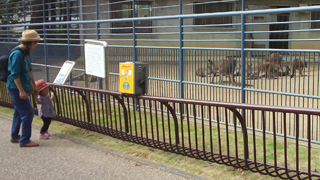 �;���ưʪ�� 