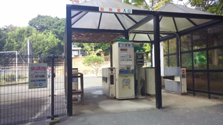 �;���ưʪ�� ������