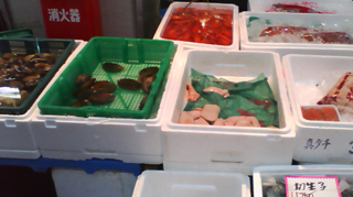 ���Ź� �����Ծ�