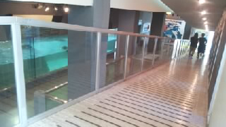 ��Ʀ�����ť����ѥ������ ��²��