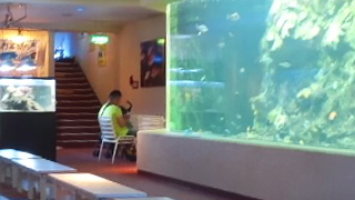 あわしまマリンパーク 階段