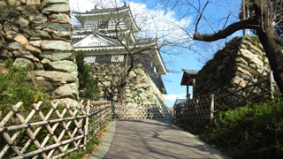 �;��� ŷ�饢�ץ�����