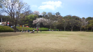 �;��� �����������