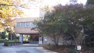 �;������Ѵ� ����