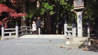 ��Ԣ���� ��ƻ