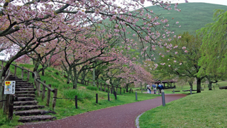 �������Τ