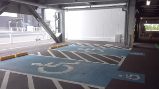 ������⡼������ ��־�