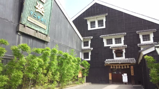 Ԣ�� �����ʪ��