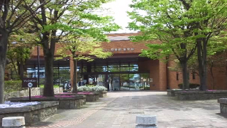 Ⱦ�Ļ�Ω�޽�ۡ���ʪ�� ����