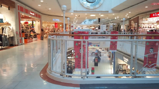 ������⡼���챺 Ź��