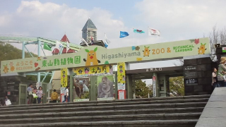 �컳ư��ʪ�� ����