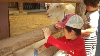 �컳ư��ʪ�� �䥮