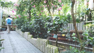 �컳ư��ʪ�� ����