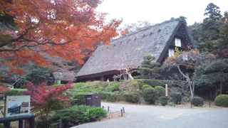 �컳ư��ʪ�� �羸¤��β�