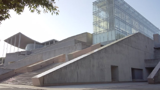 �����������ʪ�� ����