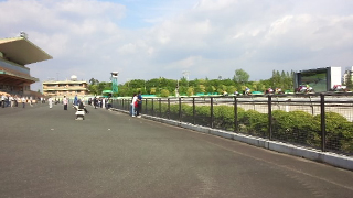 ̾�Ų����Ͼ� �������褤