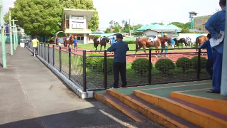 ̾�Ų����Ͼ� �ѥɥå�