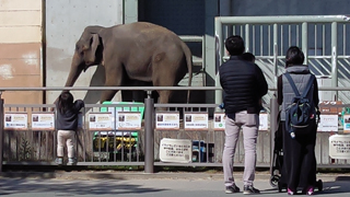 �Τ�ۤ��ѡ��� ưʪ��