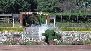 �Τ�ۤ��ѡ��� �����