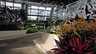 �Τ�ۤ��ѡ��� ����