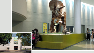 ˭���Լ�������ʪ��