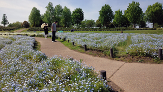 138����ѡ��� ����Ȫ