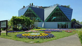 �ե��ѡ�������