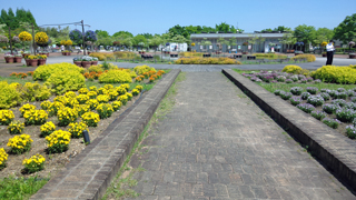 �ե��ѡ������� �ᥤ�����