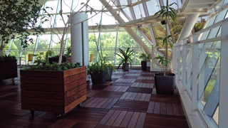 ���ꥹ����ե�