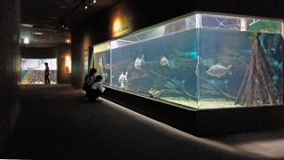 ���������ȥȤ���