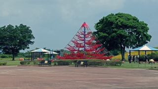 ����������