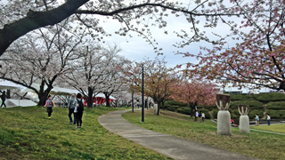 �Ϥ��̴�ο����� ¿��Ū����