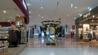 ���ԥ���������� Ź��